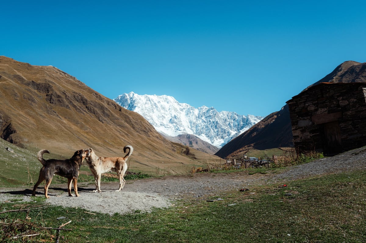End of the World — Ushguli, Georgia — gallery image